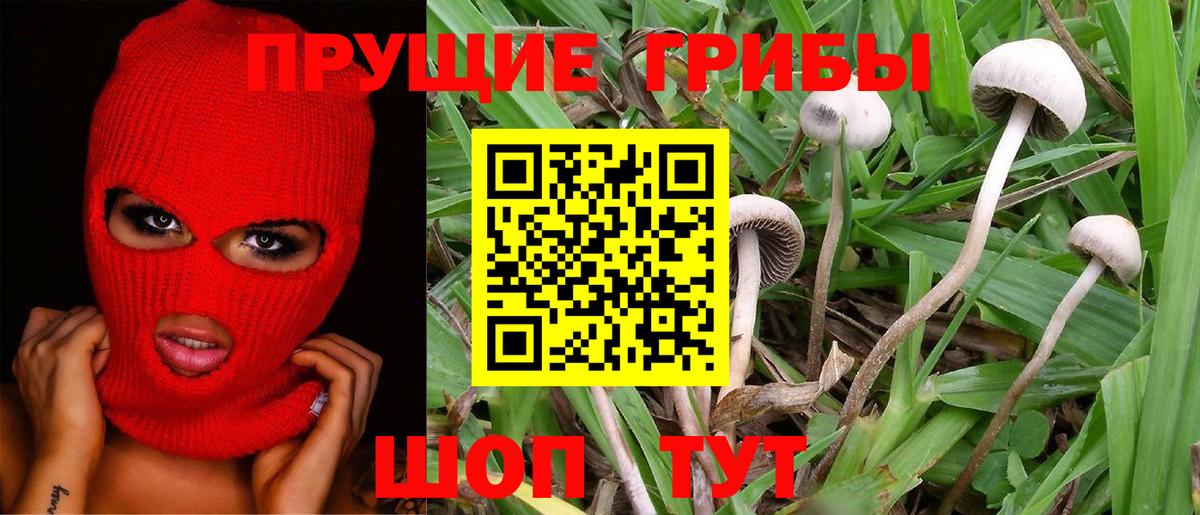 Псилоцибиновые грибы Magic Shrooms  Тулун 