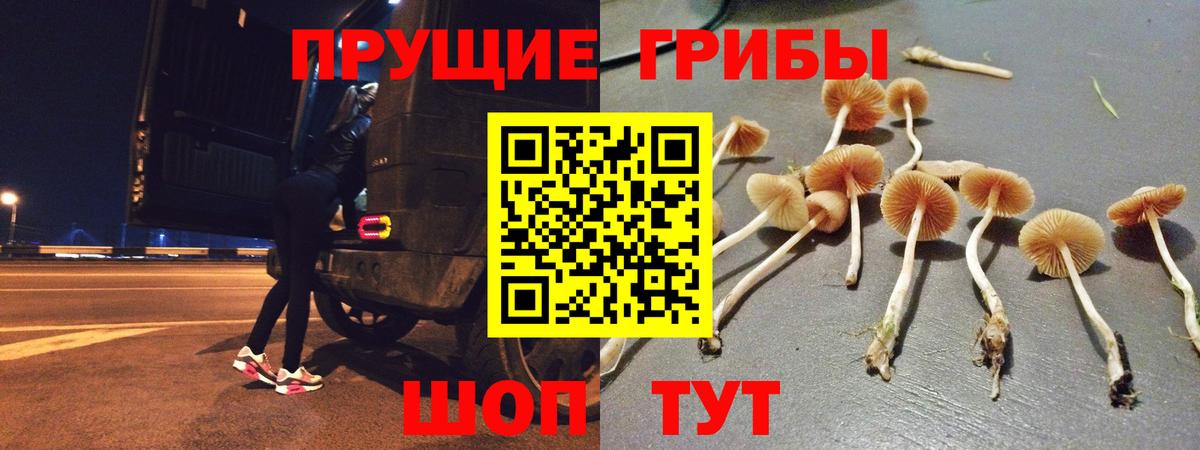 Галлюциногенные грибы прущие грибы  Галлюциногенные грибы Psilocybe  Тулун  Вход с VPN 