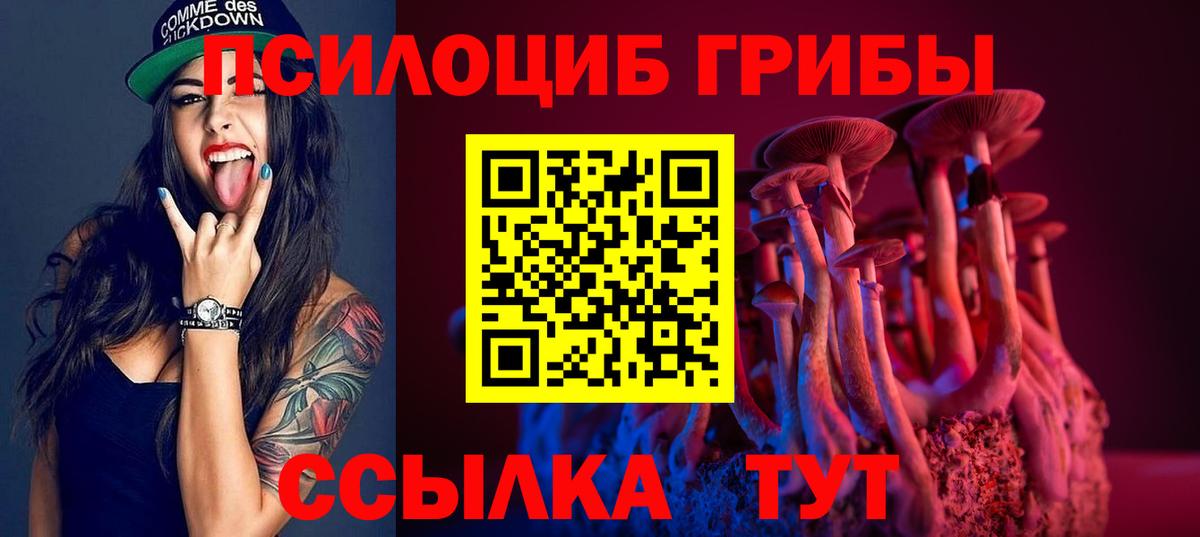 Галлюциногенные грибы прущие грибы Тулун